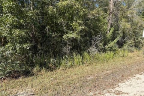 Land in Bronson, Florida № 2162686 - photo 2