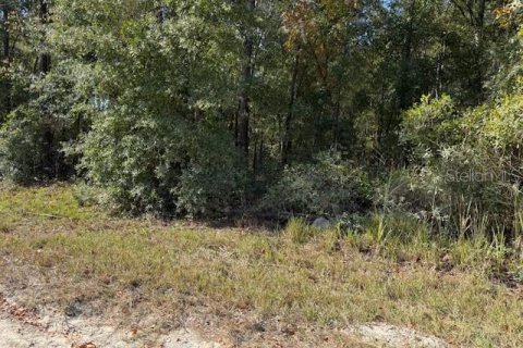Land in Bronson, Florida № 2162686 - photo 4