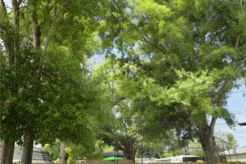 Villa ou maison à louer à Saint Petersburg, Floride: 3 chambres, 122.45 m2 № 2100328 - photo 25
