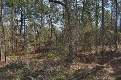 Terreno en Weeki Wachee, Florida № 2092172