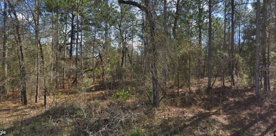 Terreno en Weeki Wachee, Florida № 2092172