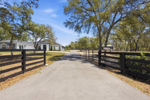 House in Spring Hill, Florida 4 bedrooms, 264.77 sq.m. № 2093051 - photo 6