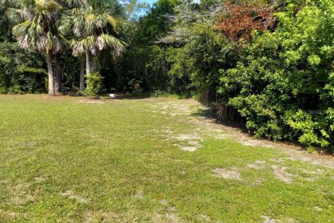 Land in Daytona Beach, Florida № 2160084