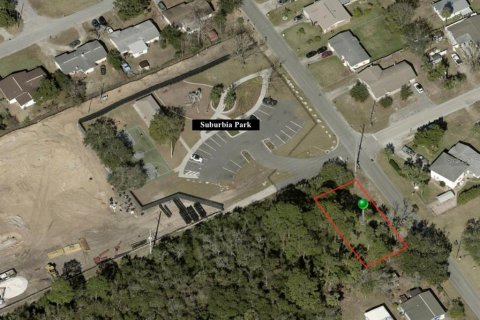 Land in Daytona Beach, Florida № 2160084 - photo 2