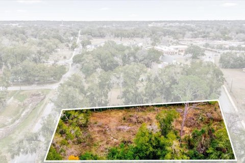 Land in Ocala, Florida № 1525022 - photo 22