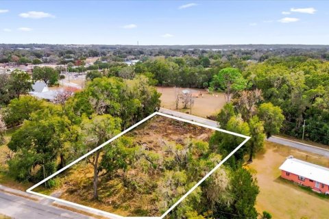 Land in Ocala, Florida № 1525022 - photo 30