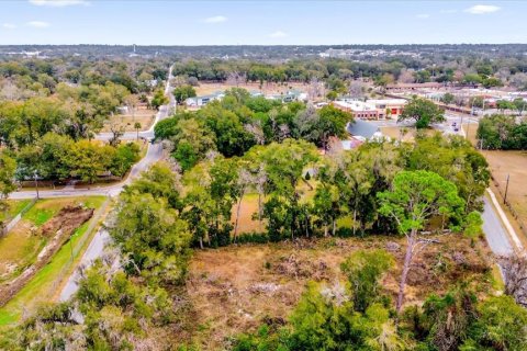Land in Ocala, Florida № 1525022 - photo 23