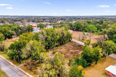 Land in Ocala, Florida № 1525022 - photo 26
