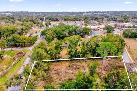 Land in Ocala, Florida № 1525022 - photo 21