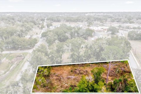 Land in Ocala, Florida № 1525022 - photo 25
