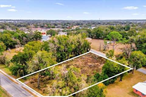 Land in Ocala, Florida № 1525022 - photo 27