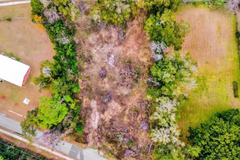Land in Ocala, Florida № 1525022 - photo 3