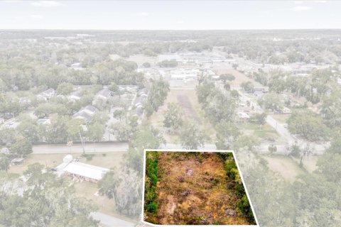 Land in Ocala, Florida № 1525022 - photo 16