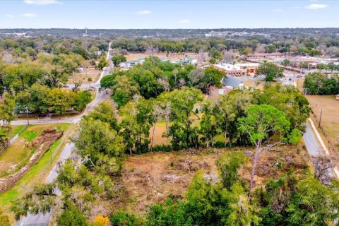 Land in Ocala, Florida № 1525022 - photo 20