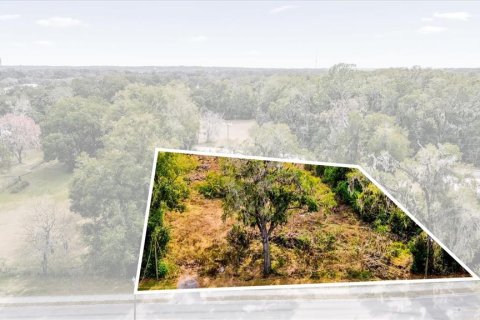 Land in Ocala, Florida № 1525022 - photo 2