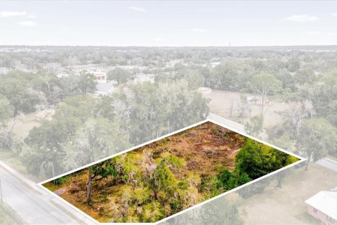 Land in Ocala, Florida № 1525022 - photo 28