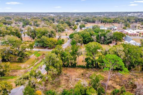 Land in Ocala, Florida № 1525022 - photo 19