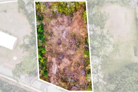 Land in Ocala, Florida № 1525022 - photo 4