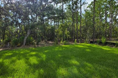 Villa ou maison à vendre à Ocala, Floride: 4 chambres, 169.45 m2 № 2337368 - photo 24