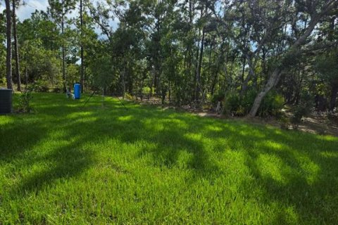 Villa ou maison à vendre à Ocala, Floride: 4 chambres, 169.45 m2 № 2337368 - photo 28