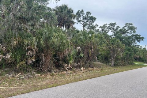 Land in North Port, Florida № 2161381 - photo 2