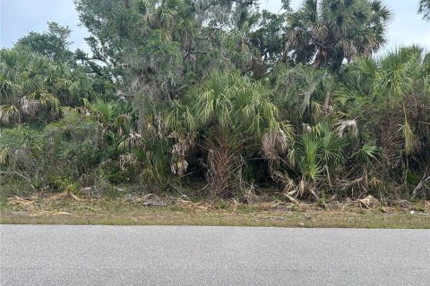 Land in North Port, Florida № 2161381 - photo 5