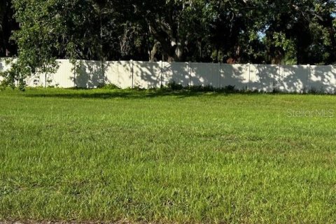 Terreno en venta en Mulberry, Florida № 1866621 - foto 9