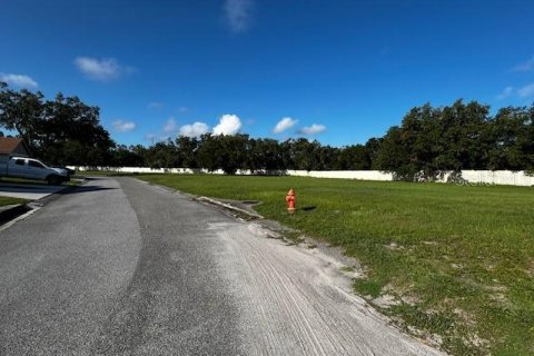 Terreno en venta en Mulberry, Florida № 1866621 - foto 8