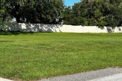 Terreno en venta en Mulberry, Florida № 1866621 - foto 10
