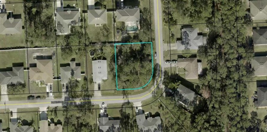 Land in Palm Coast, Florida № 1802877