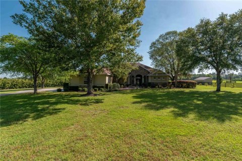House in Morriston, Florida 3 bedrooms, 263.38 sq.m. № 1634061 - photo 4