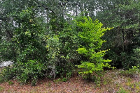 Terrain à vendre à Dunnellon, Floride № 2214775 - photo 5