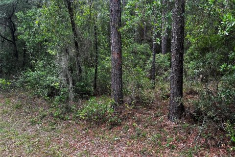 Terrain à vendre à Dunnellon, Floride № 2214775 - photo 2
