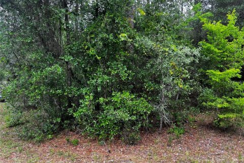 Terrain à vendre à Dunnellon, Floride № 2214775 - photo 3