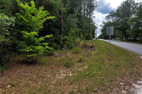 Terrain à vendre à Dunnellon, Floride № 2214775 - photo 4