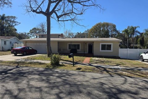 House in Tampa, Florida 4 bedrooms, 167.32 sq.m. № 2095353