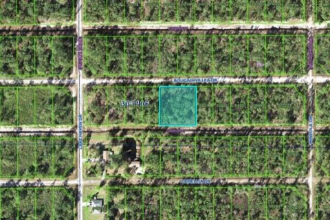Terrain à vendre à Indian lake estates, Floride № 1757544 - photo 4