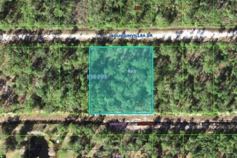 Terrain à vendre à Indian lake estates, Floride № 1757544 - photo 1