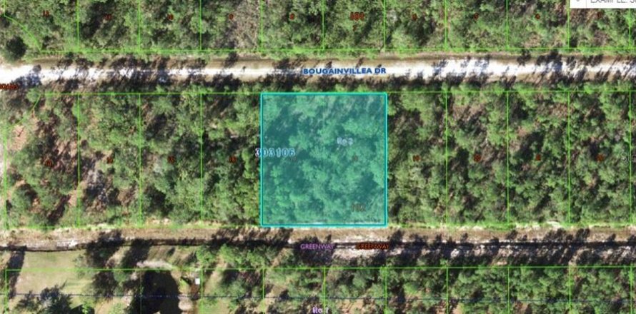 Terreno en Indian lake estates, Florida № 1757544
