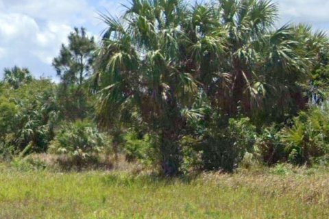 Land in Palm Bay, Florida № 2364239 - photo 2