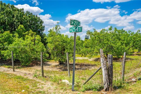 Land in Homestead, Florida № 1168472 - photo 1