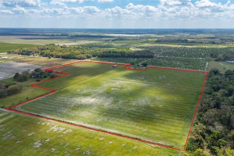 Land in Arcadia, Florida № 1755510 - photo 2