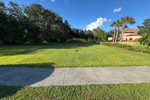 Land in Fort Myers, Florida № 2159009 - photo 2