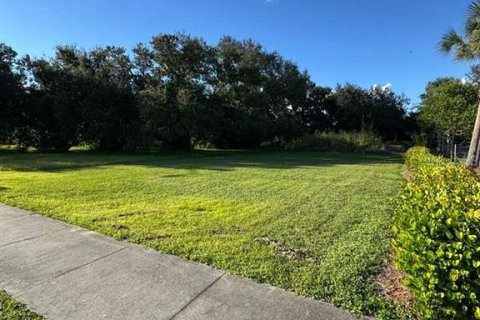 Land in Fort Myers, Florida № 2159009