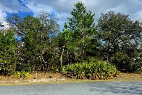 Land in Weeki Wachee, Florida № 2386158 - photo 2