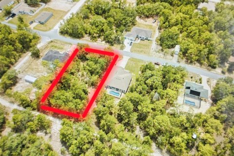 Land in Weeki Wachee, Florida № 2386158 - photo 3