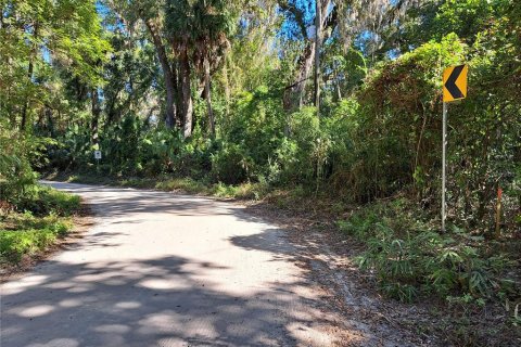 Terrain à Gainesville, Floride № 2104245