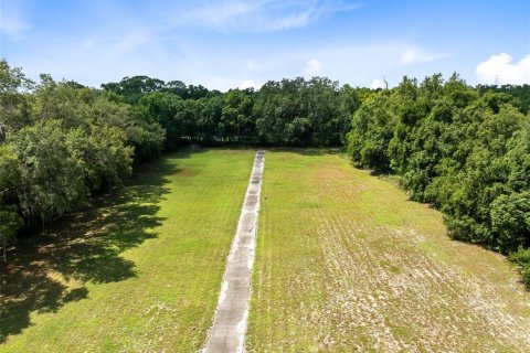 Commercial property in Apopka, Florida 186.55 sq.m. № 1251578 - photo 14