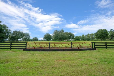 Land in Ocala, Florida № 2384041 - photo 24