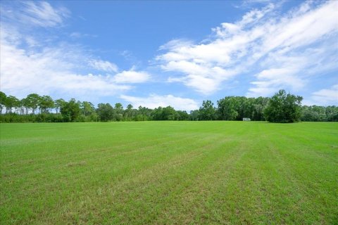 Land in Ocala, Florida № 2384041 - photo 19